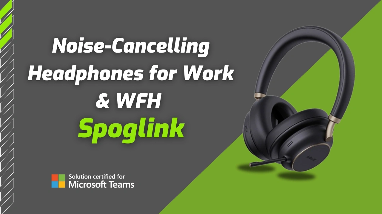 Noise cancelling headphones